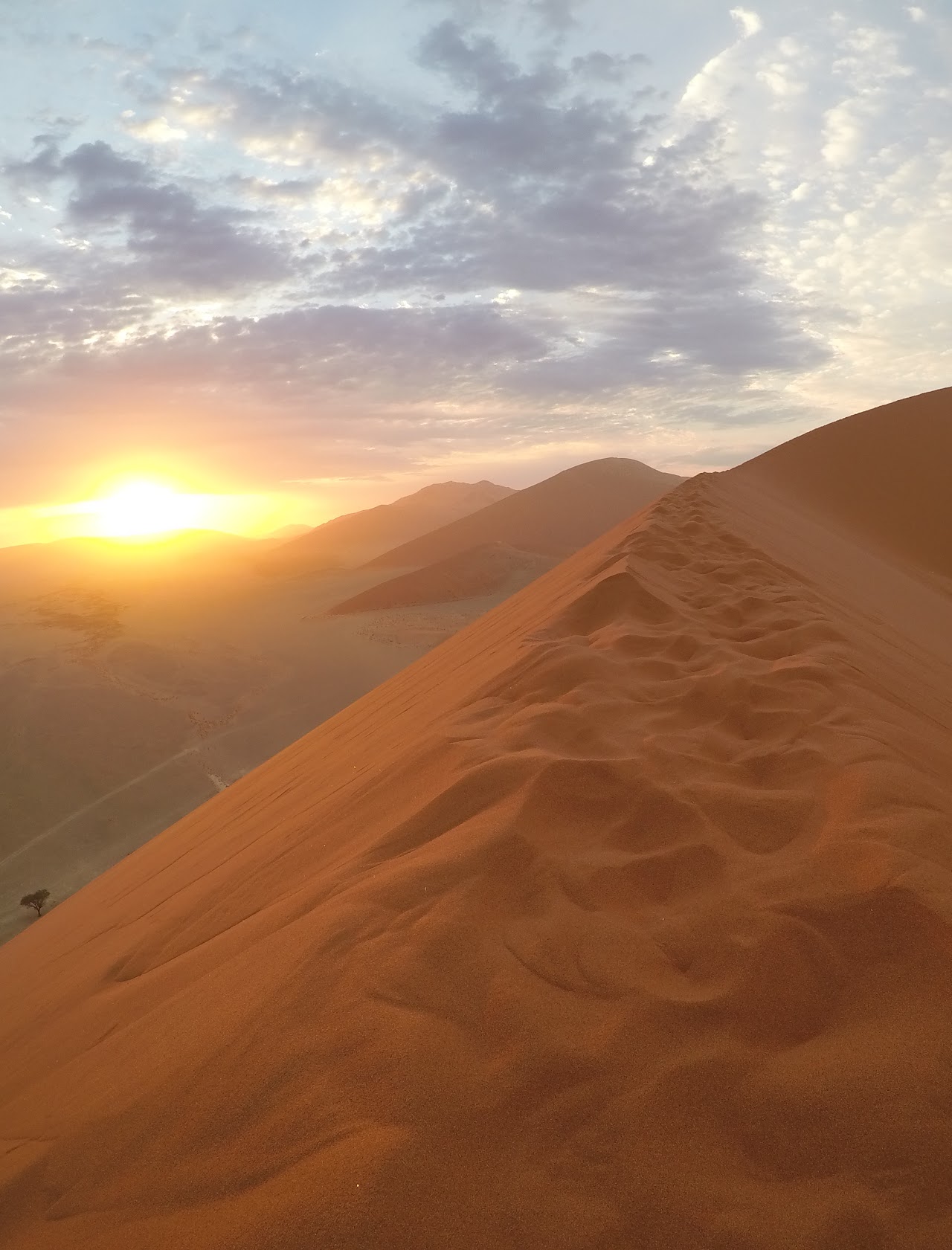Desert sunrise hike